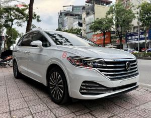 Xe Volkswagen Viloran Luxury 2024
