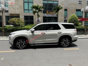 Xe Hyundai Palisade Prestige 2.2 AT HTRAC 2024